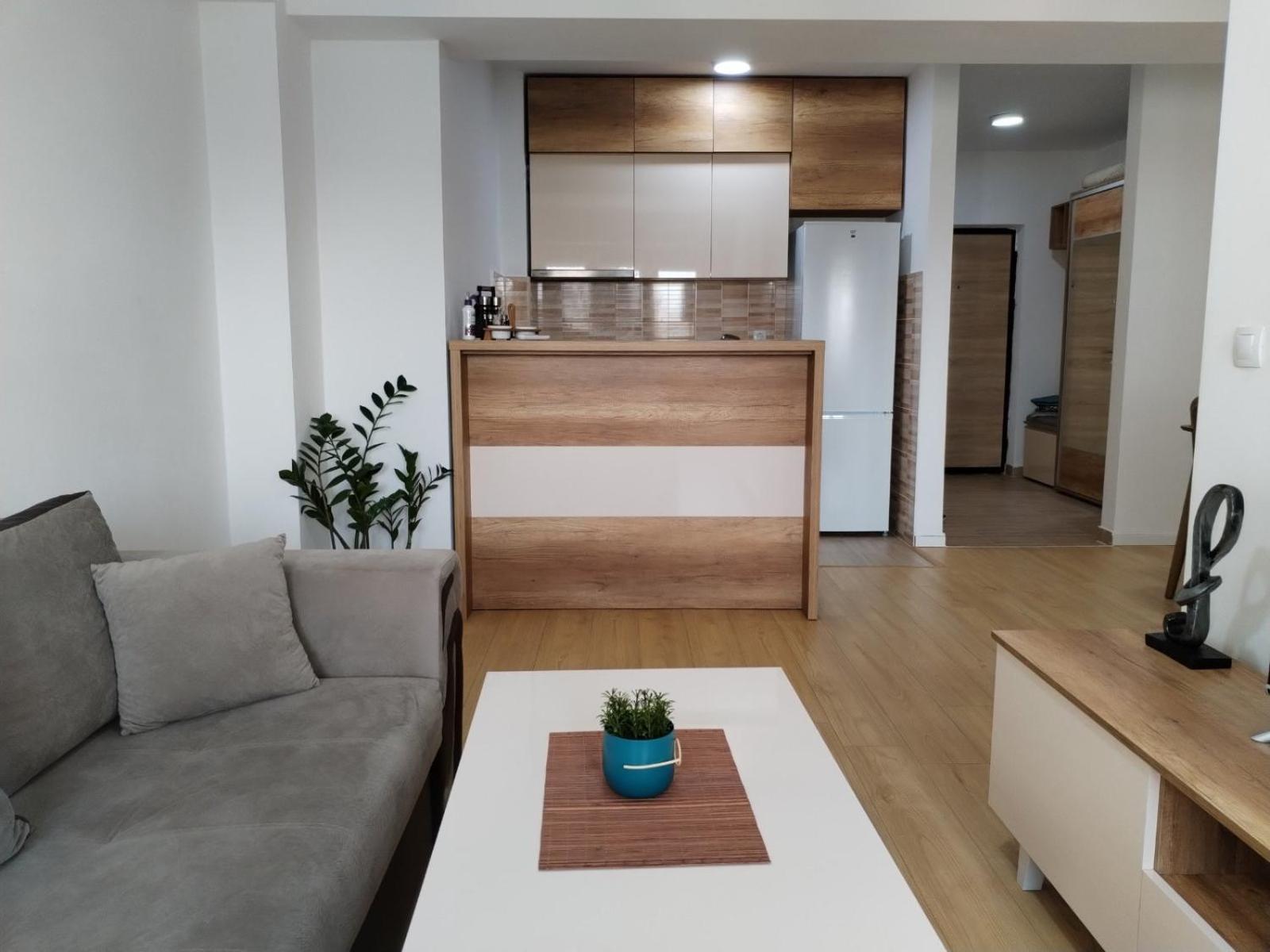 Maya Apartment 斯科普里 外观 照片